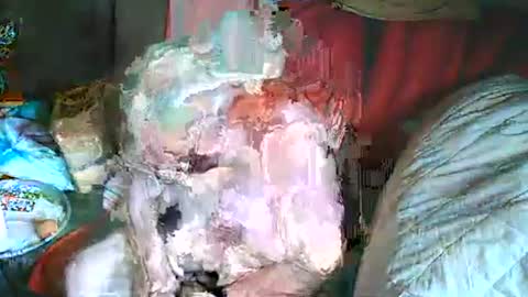 Bomber59potsdam online show from March 2, 10:35 am