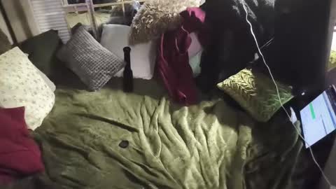 Bonnie and Clyde online show from November 7, 3:42 am