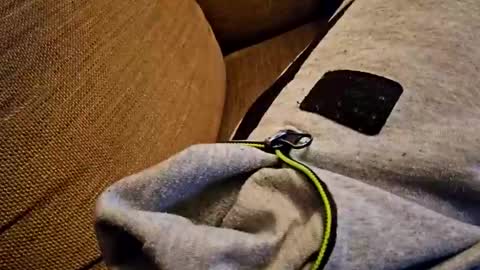 Snapshot of bonny8723 chatting on October 18, 7:29 pm bonny8723 online show from October 18, 7:29 pm