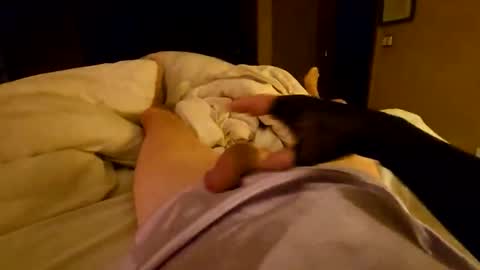 silky sissy sarah online show from April 6, 10:05 am