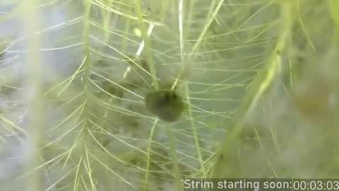 Booker Baxton online show from April 18, 3:08 am