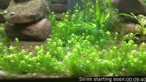 Booker Baxton online show from April 7, 2:57 am