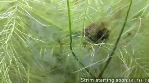 Booker Baxton online show from April 17, 2:58 am