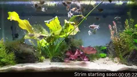 Booker Baxton online show from November 18, 4:04 am