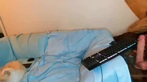 boredandirish21 online show from October 4, 4:49 pm