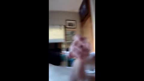 Sissy slut online show from April 12, 12:09 pm