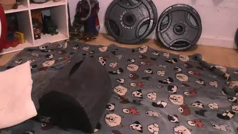 Pumpkin Butt online show from April 10, 6:30 am