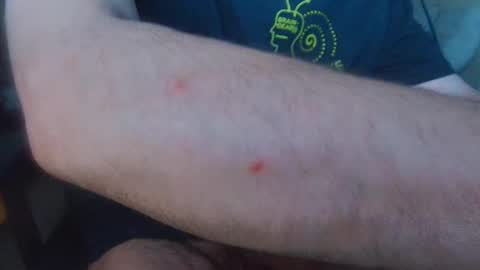 brainrrawtt online show from March 11, 8:52 am