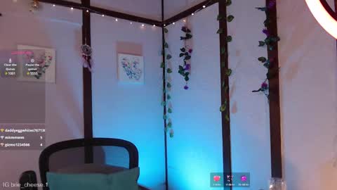 Snapshot of brie_cheese1 chatting on February 25, 8:32 pm Brie Ill be away November 2829 and 30. See u on Sunday for more fun online show from February 25, 8:32 pm