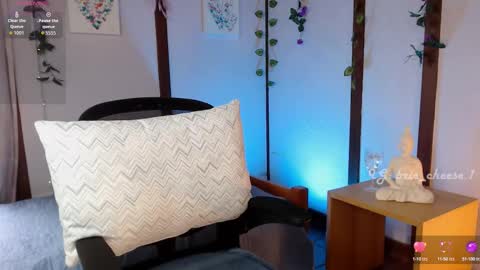Snapshot of brie_cheese1 chatting on October 16, 5:56 pm Brie Ill be away November 2829 and 30. See u on Sunday for more fun online show from October 16, 5:56 pm