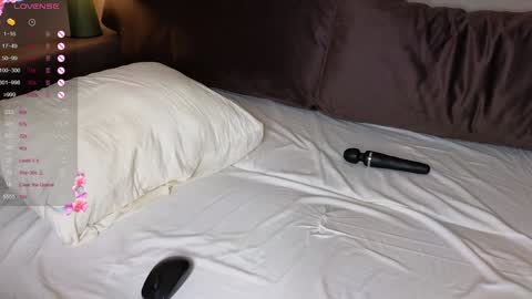 Amina Adelina online show from October 31, 3:29 am