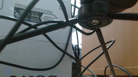 Snapshot of brigittebia777 chatting on October 10, 3:34 am brigittebia777 online show from October 10, 3:34 am