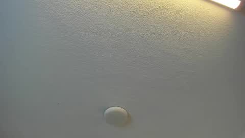 Brittany  online show from April 19, 7:38 pm