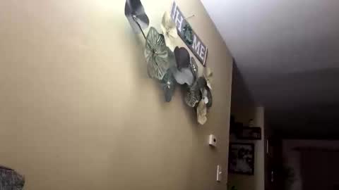 Its Brittney bch  online show from January 15, 11:52 am