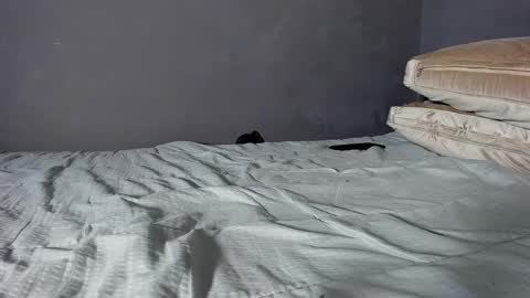 brockhurn_ online show from February 20, 2:11 am