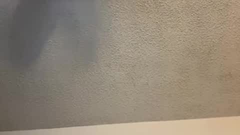 Snapshot of brownsugar0910 chatting on February 11, 3:50 am EtherealLilac online show from February 11, 3:50 am