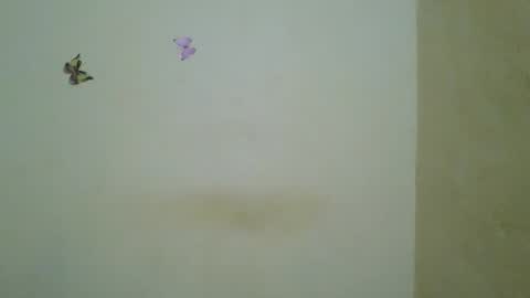 Bobbie online show from January 14, 3:25 am