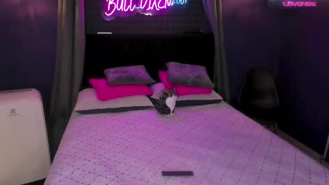 Snapshot of bull_vixen2001 chatting on October 3, 9:50 am Bunny and The Rock online show from October 3, 9:50 am