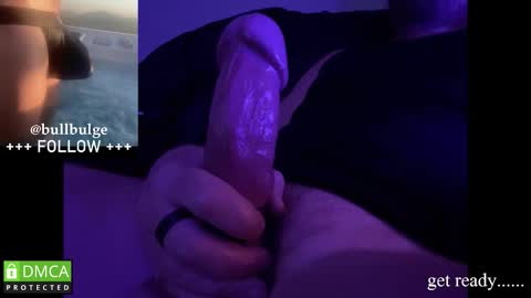 Bull. online show from December 1, 2:53 am