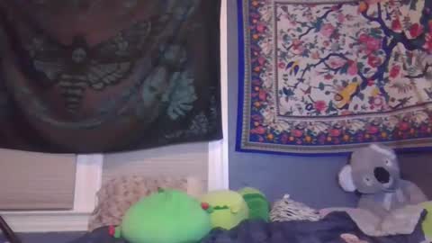 lilly online show from February 2, 10:46 am