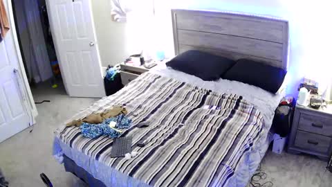 busybee83 online show from September 30, 8:41 pm