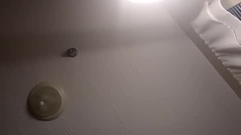 Cactus1041 online show from September 28, 11:47 pm