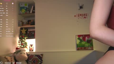Snapshot of call_me_rosie chatting on December 2, 12:01 am online show from December 2, 12:01 am