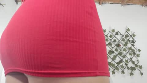 camihotboobs online show from January 29, 7:43 pm