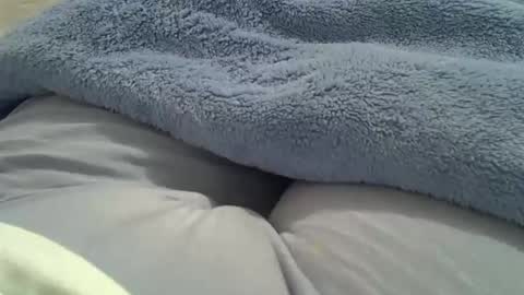 Snapshot of camilaperes69 chatting on October 1, 2:10 am flash 50 tokens BIG CLIT tits pussy. masturbation big clit 150 tokens fingers inside pussy 1000 tk pump big clit 300 tk online show from October 1, 2:10 am