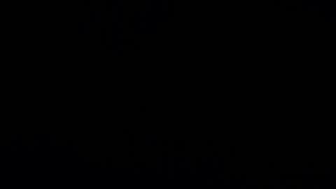 Snapshot of camilio96 chatting on January 9, 11:34 pm camilio96 online show from January 9, 11:34 pm