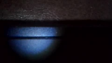 Camren online show from April 14, 9:29 pm