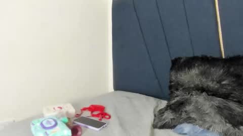 candy18_ho online show from February 27, 2:48 am