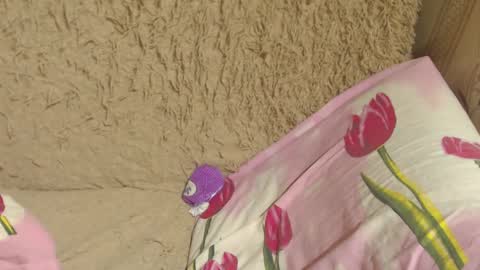 say meow and send tips  online show from December 24, 11:11 pm