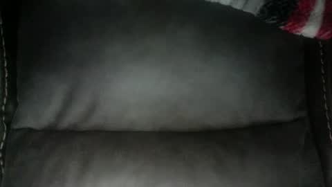 cardinal2249 online show from January 18, 8:01 am