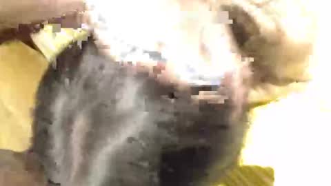 beakarlos online show from February 15, 2:03 am