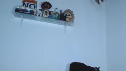 CarolinaM online show from September 12, 9:28 pm