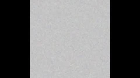 carolina online show from December 14, 3:50 am