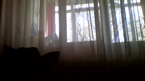 Casey online show from November 5, 8:38 am