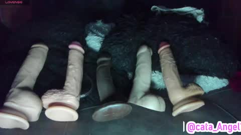 Cata Angel online show from April 21, 2:51 am