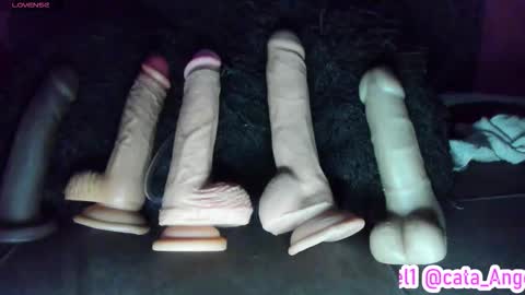 Cata Angel online show from November 11, 1:52 am