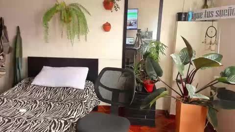 Snapshot of catalinalince chatting on September 16, 6:33 pm Cataina Lince online show from September 16, 6:33 pm