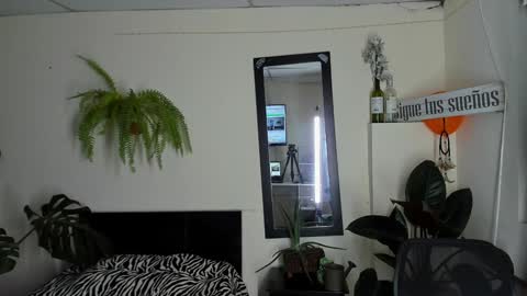 Snapshot of catalinalince chatting on December 22, 11:09 pm Cataina Lince online show from December 22, 11:09 pm