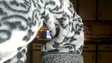 CATALYSTIC online show from November 30, 10:22 am