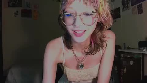 Cat online show from January 16, 2:31 am