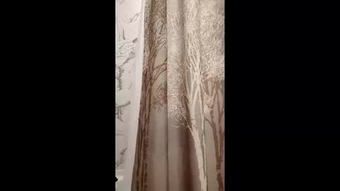 cats_summer online show from April 4, 2:07 am