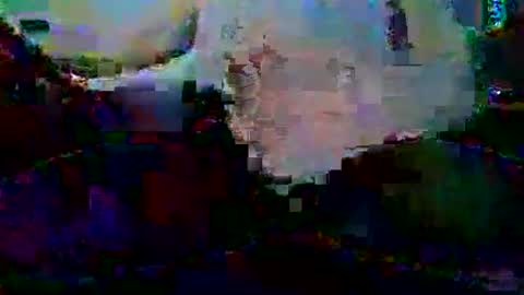 PureLeaf1990 online show from January 5, 3:32 am