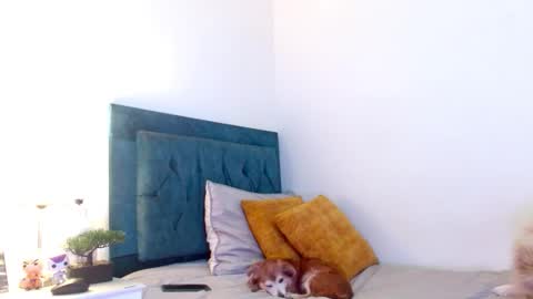 Cedrixx10 online show from March 14, 11:09 pm