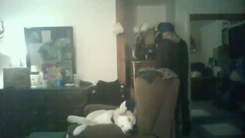 GigaChad online show from October 29, 5:42 am