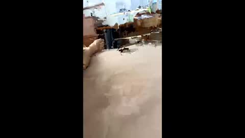 chasejase20333 online show from December 16, 7:37 am