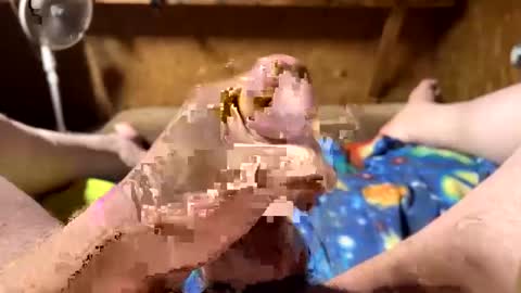 chasepeewee2 online show from February 16, 3:58 am